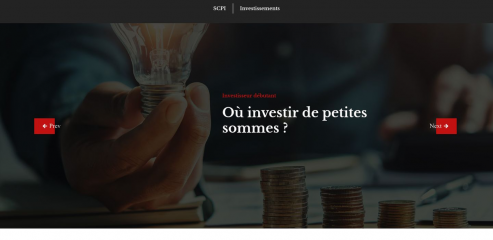 https://www.lepetit-investisseur.com