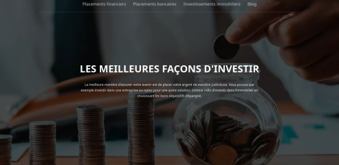 https://www.conseilinvestissement.net